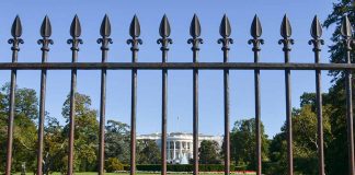 Protesters Swarm the Capitol, Attempt to Climb White House Fence