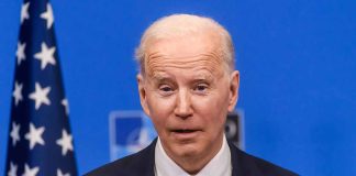 Forget 'Dark Brandon,' Former Obama Officials Calls for 'Basement Biden' to Return