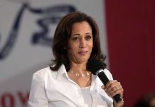 Kamala Harris's Unexpected Phrase Causes Stir Among Politicians