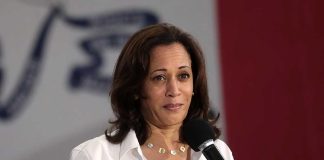 Kamala Harris's Unexpected Phrase Causes Stir Among Politicians