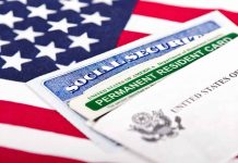 Social Security card and green card on flag.