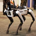 Robotic dog standing on indoor carpeted floor.