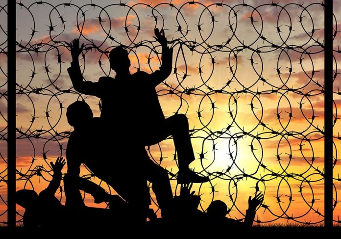 Silhouettes and barbed wire against sunset sky backdrop