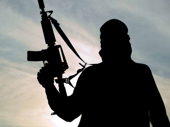 Silhouette of person holding a rifle.